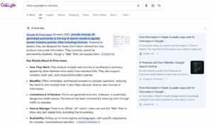 Screenshot of Google search results page for search 'what is google ai overview'